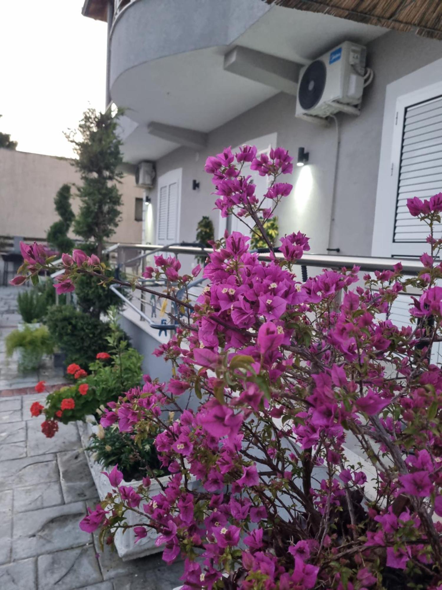 Vila Soleil فلورا المظهر الخارجي الصورة